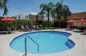 ein großer Pool mit Stühlen und Sonnenschirmen in der Unterkunft Hampton Inn Torreon Airport-Galerias in Torreón