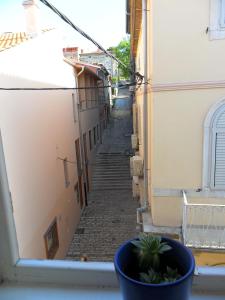 Fotografia z galérie ubytovania Arco Arina Apartment v destinácii Pula