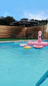 a swimming pool with a pink inflatablevisor in the water at Vikendica Konstantin in Laktaši