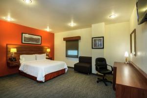 a hotel room with a bed and a desk at Hampton by Hilton San Juan del Rio in San Juan del Río