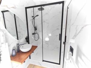 een badkamer met een douche en een wastafel bij La Belle Mer / MRODBNB in Cancale