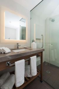 Kamar mandi di Hampton Inn by Hilton Leon