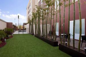 une cour avec de l'herbe verte et des arbres dans un bâtiment dans l'établissement Homewood Suites by Hilton Queretaro, à Querétaro