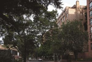 eine Straße mit Bäumen vor einem Gebäude in der Unterkunft Embassy Suites by Hilton Bogotá - Rosales in Bogotá