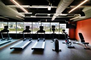 a gym with cardio equipment and a large window at Hilton Garden Inn Monterrey Obispado in Monterrey