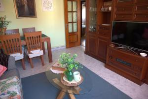 a living room with a couch and a table and a tv at ApartamentoLillos in Luanco