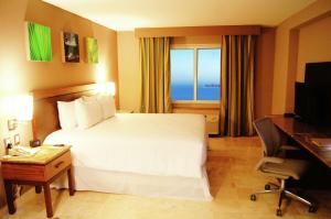 TV a/nebo společenská místnost v ubytování Hilton Garden Inn Veracruz Boca del Rio