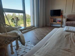 Cette chambre comprend un lit, une télévision et une fenêtre. dans l'établissement Ukiel Park Apartament Kozetka, à Olsztyn