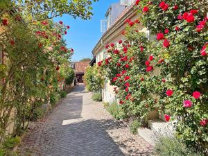 eine gepflasterte Straße mit Rosen an der Seite eines Gebäudes in der Unterkunft 4 person holiday home in KLINTEHAMN-By Traum in Klintehamn + 14 Fotos