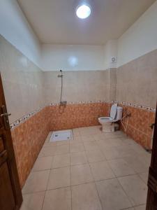 La salle de bains est pourvue d'une douche et de toilettes. dans l'établissement Apartment in home tafraoute with terrace, à Tafraout