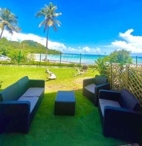 einen Rasen mit Sofas und einen Strand mit einer Palme in der Unterkunft STUDIO VUE MER VILLAGE VIVA BAS DU FORT, Gosier in Le Gosier