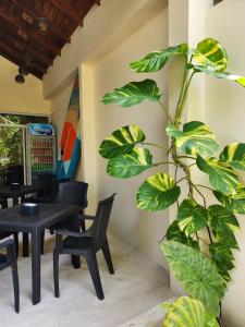 a plant in a room with a table and chairs at Dhigurah Dhonveli Boutique in Dhigurah