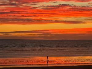 une personne debout sur la plage au coucher du soleil dans l'établissement L échappée Belle, à Rochefort