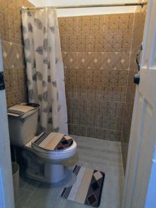 a bathroom with a toilet and a shower at Hostal María Fernanda in Santo Domingo