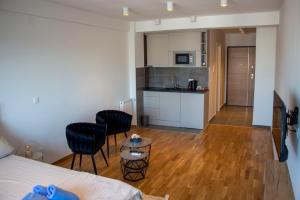 Kuhinja ili čajna kuhinja u objektu Harmony Studio Apartment