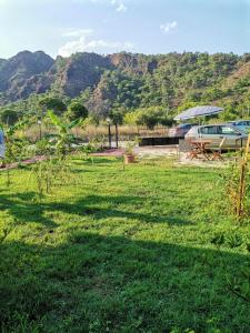 ein Grasfeld mit einem Boot im Hintergrund in der Unterkunft Arlin Bungalows in Kemer