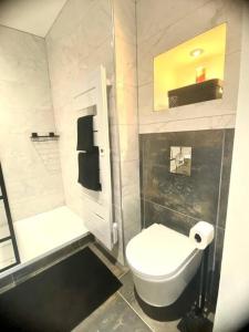 uma casa de banho branca com um WC e um chuveiro em *Superbe appartement moderne* em Lourdes