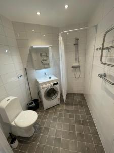 a bathroom with a toilet and a washing machine at Home Inn PLG19 in Stockholm
