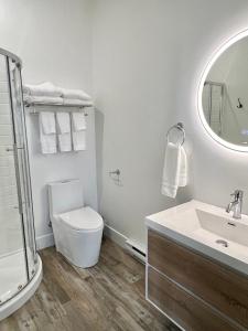 a bathroom with a toilet and a sink and a mirror at The View suites and breakfast in Triton, Newfoundland in Pilleyʼs Island +124 photos