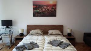 Postel nebo postele na pokoji v ubytování Apartment Balbínova