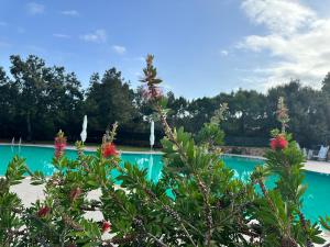 The swimming pool at or close to ILIA'S House Porto Rotondo