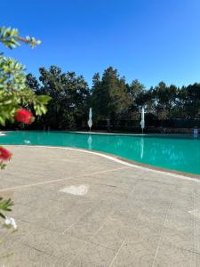 The swimming pool at or close to ILIA'S House Porto Rotondo