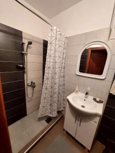 a bathroom with a sink and a shower at Vila Paramida in Šavnik