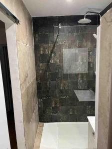 uma casa de banho com um chuveiro e um lavatório. em 2- Charmant 3 pièces en plein cœur de Beziers em Béziers