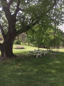 a picnic table under a tree in a park at Historic 1850 Log Cabin in Westminster