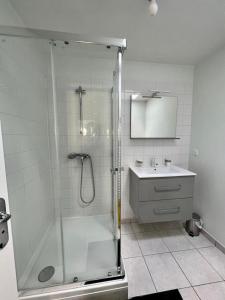 uma casa de banho com um chuveiro e um lavatório. em LE PETIT VOLTAIRE - Proche Centre Ville - Spacieux em Châteauroux