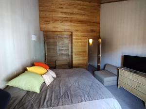 een slaapkamer met een groot bed en een televisie bij Departamento Altos Penitentes Mendoza in Los Penitentes