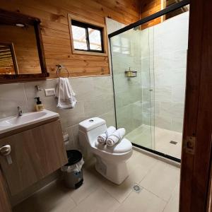 uma casa de banho com um WC e uma cabina de duche em vidro. em Monte Santa Elena em Medellín