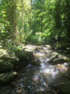 una corriente de agua con rocas en un bosque en Les Arches du Cloître, en Corneilla-de-Conflent