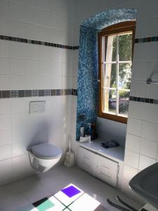 a bathroom with a toilet and a window and a sink at B&B Château de Denens 