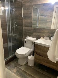 a bathroom with a toilet and a shower and a sink at Cabaña puerto varas, a orillas del Lago LLanquihue in Puerto Varas