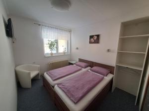 Fotografia z galérie ubytovania Pension Dana Karaskova v destinácii Kutná Hora + 29 fotografií