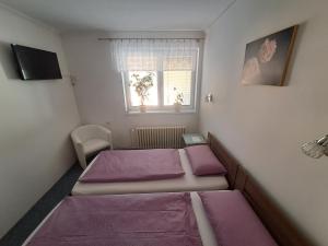 Fotografia z galérie ubytovania Pension Dana Karaskova v destinácii Kutná Hora