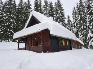 BRINA Pokljuka v zimě