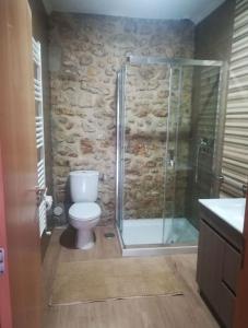 a bathroom with a toilet and a glass shower at Casa do Ribeiro in Chão de Couce +21 photos
