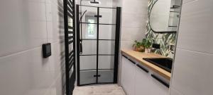 a bathroom with a sink and a mirror at CITY VIEW Saperów I - przy centrum klimatyzacja in Świdnica