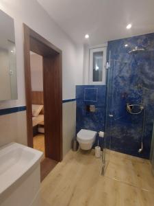 La salle de bains est pourvue de toilettes et d'une douche en verre. dans l'établissement Balkanska Four Seasons Suites, à Belgrade