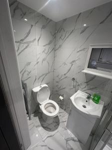 a bathroom with a white toilet and a sink at Modern Luxury Private Detached 1 Double Bedroom Studio Apartment - Super Fast Wifi in Luton