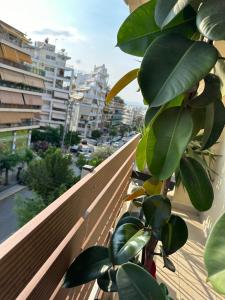 a plant sitting on the side of a balcony at Cozy Apartment with parking near the city center in Athens