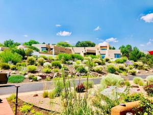 a view of a garden with plants and buildings at Celestial Casita in Colorado Springs
