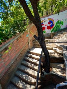 Gallery image of Hostal Kaia in Santa Marta +126 photos