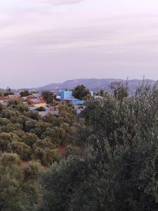 um grupo de casas numa colina com árvores em auberge yeswal aoulad yaakoube 