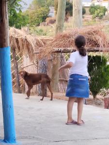 a little girl is playing with a dog at auberge yeswal aoulad yaakoube 