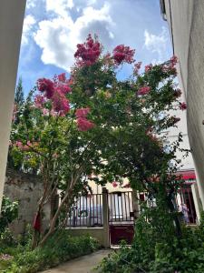 a tree with pink flowers in front of a building at Studio3 Centre ville Massy in Massy