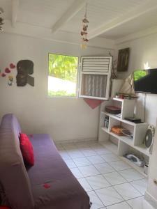 ein Wohnzimmer mit einem Sofa und einem Fenster in der Unterkunft Appart-97290- Vue magnifique sur Mer in Le Marin