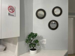 Fotografie z fotogalerie ubytování Mango’s House Close to Beach…Pool, Table Pool v destinaci Pompano Beach